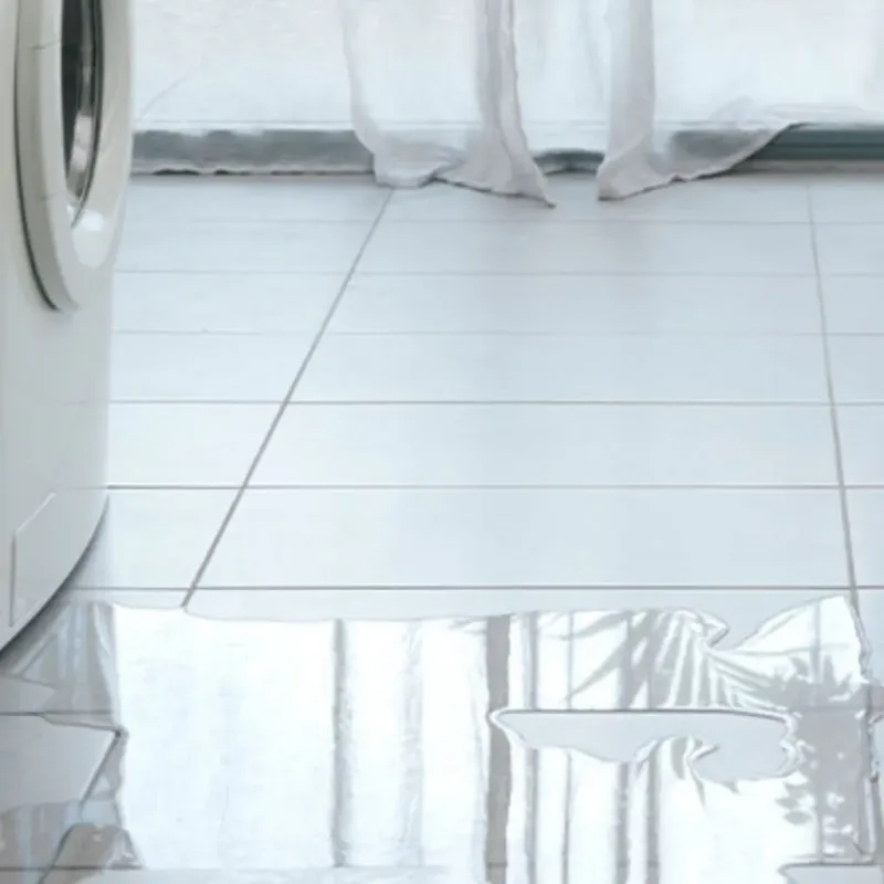 Appliance Leak Cleanup in Old Fig Garden, CA