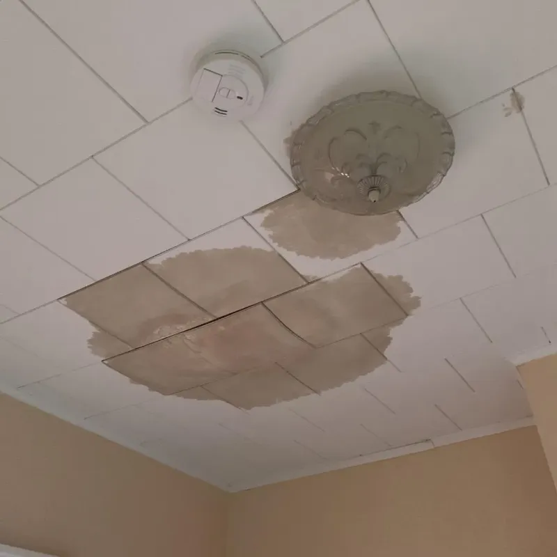 Ceiling Water Damage Repair in Old Fig Garden, CA