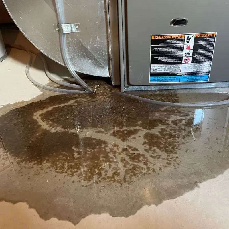 Pipe Burst and Leak Restoration in Old Fig Garden, CA
